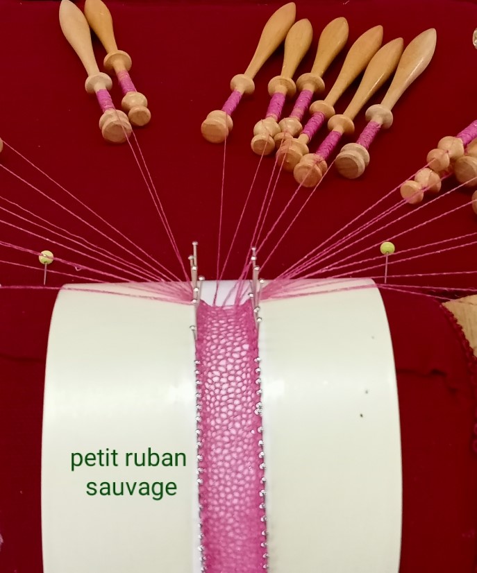 petit ruban sauvage